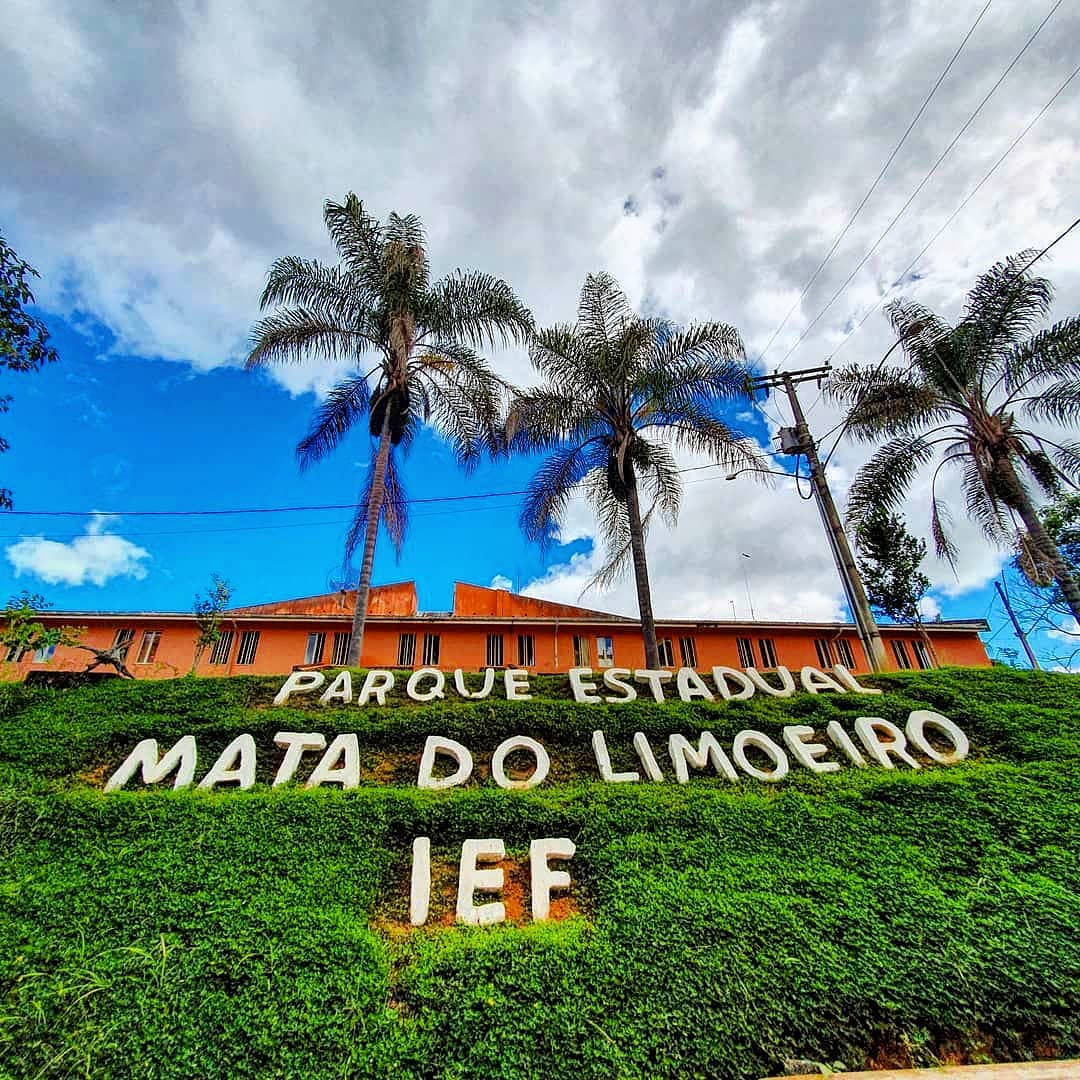 Parque Mata Do Limoeiro Ter R Mil Para Melhorias Em Monumento