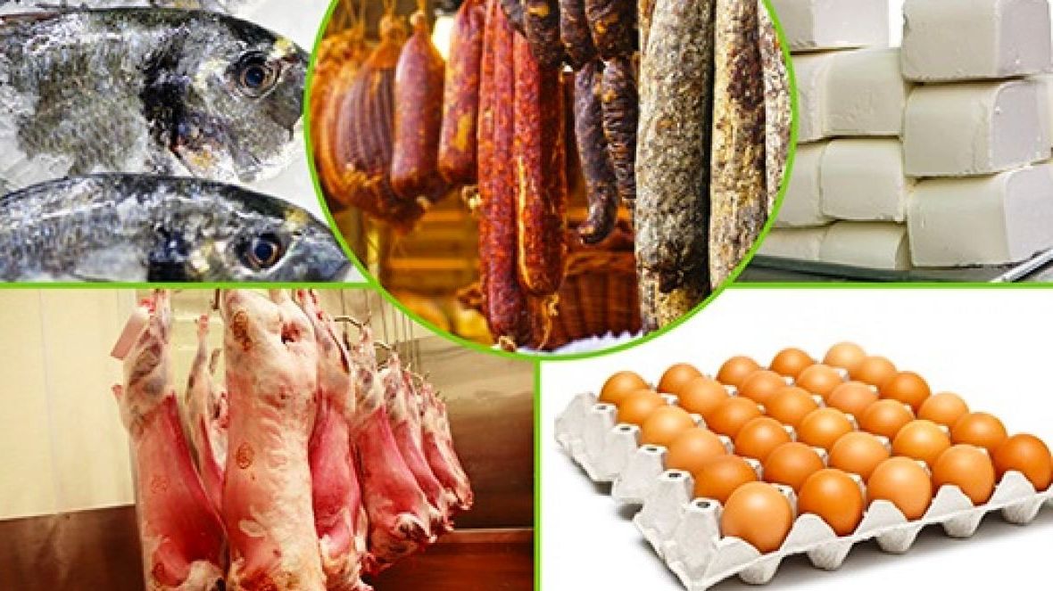 Objetos De Origem Animal - BINKEDU